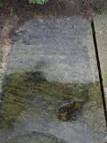 image of grave number 581541